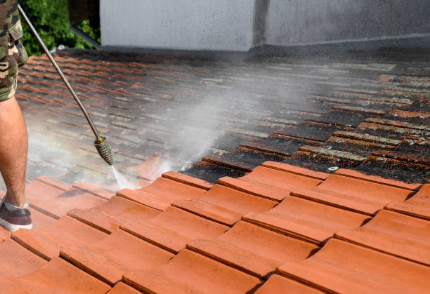 Best Roof Pressure Washing  in Grundy, VA